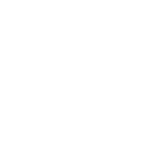 zflogo-1